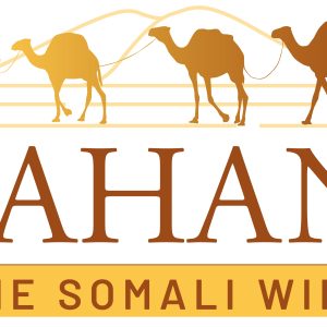 Picture of The Somali Wire Team